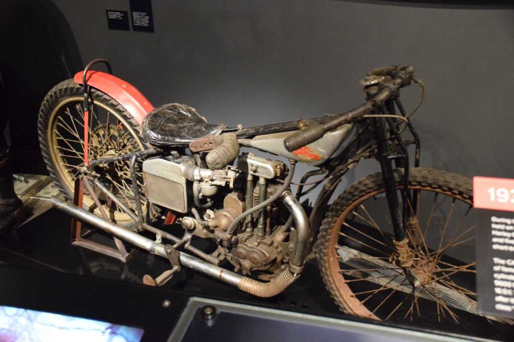DSC_0065Mittel_.JPG
